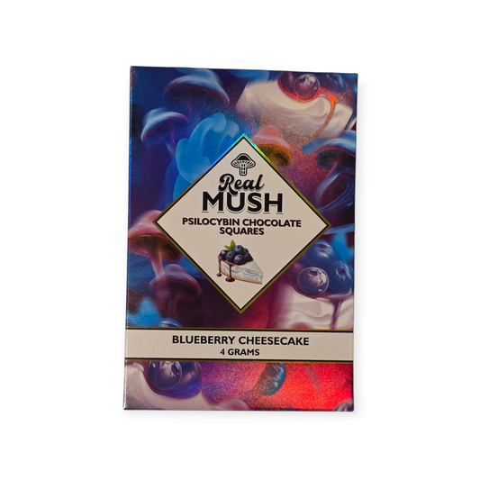 Mush(Blueberry Cheesecake)